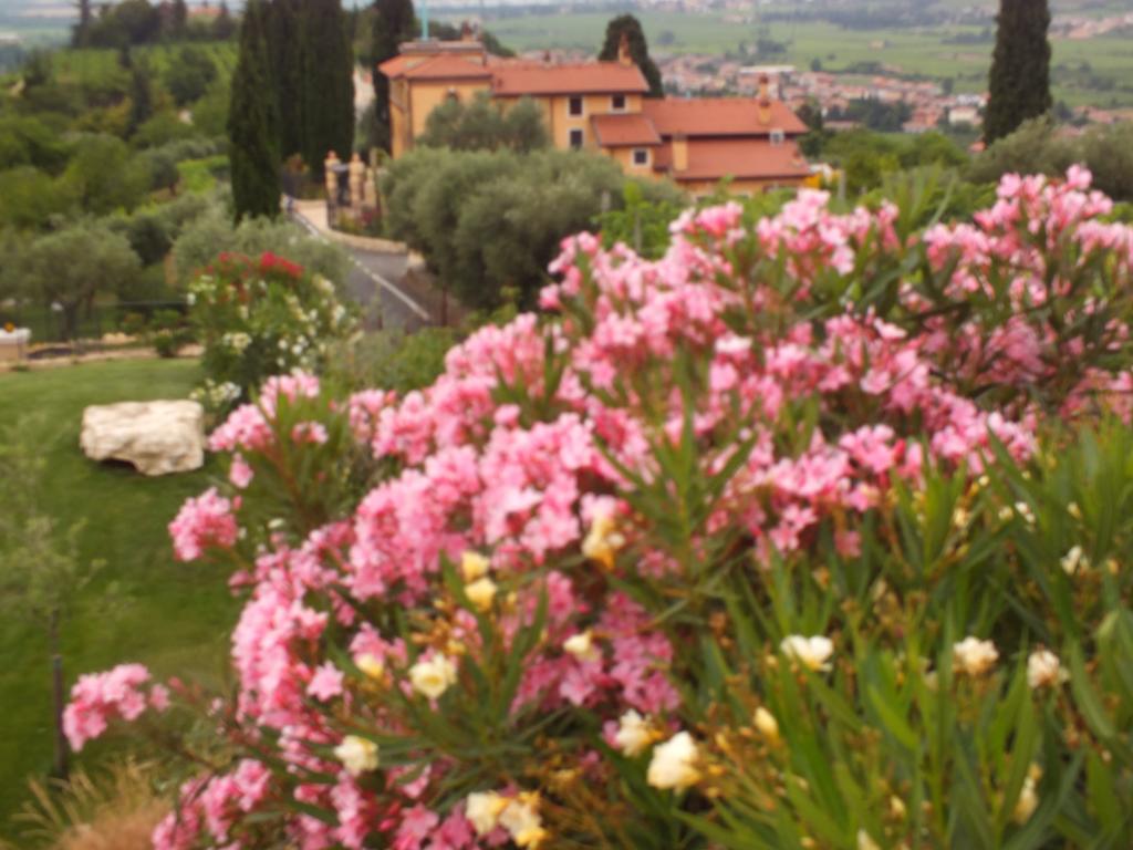 Villa Oleandri San Pietro in Cariano Ruang foto